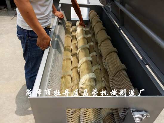 白蘿卜清洗機(jī)